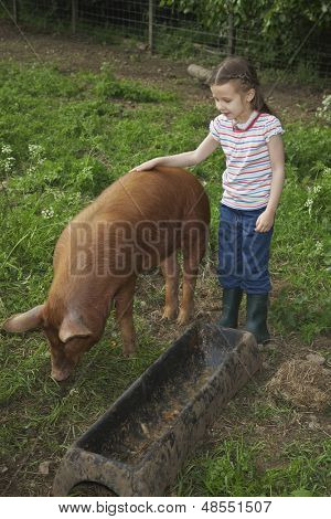 Voller Länge von einem netten Mädchen streicheln Schwein im Stall