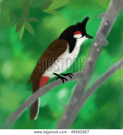 Drawing of Bird