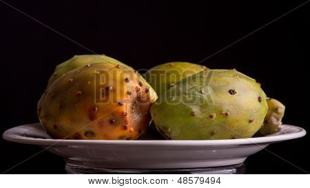 Prickly Pear Cactus