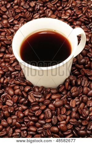 Coffee Beans