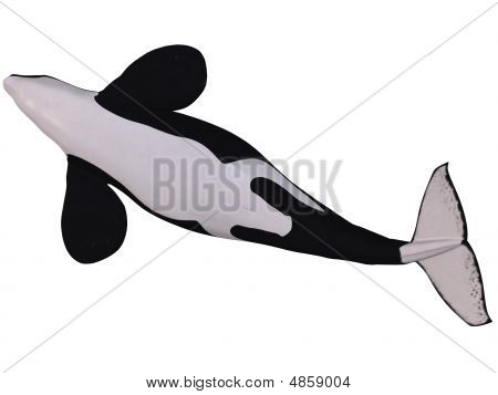 Orca - วาฬเพชฌฆาต