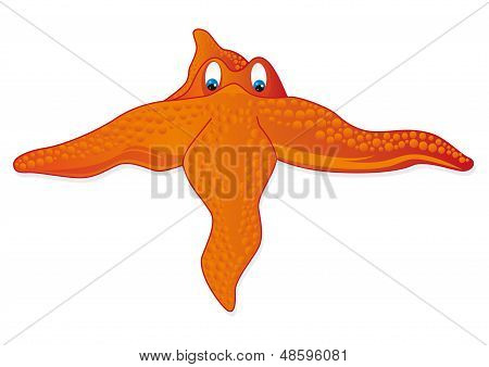 Starfish naranja