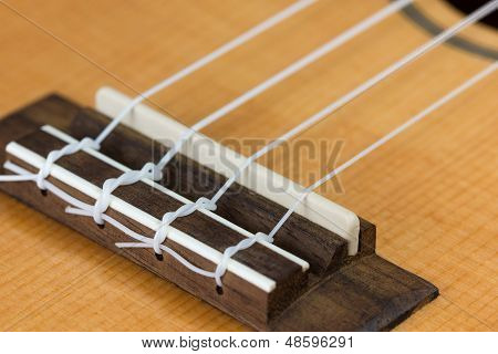 Nærbillede af Ukulele Hawaii Guitar