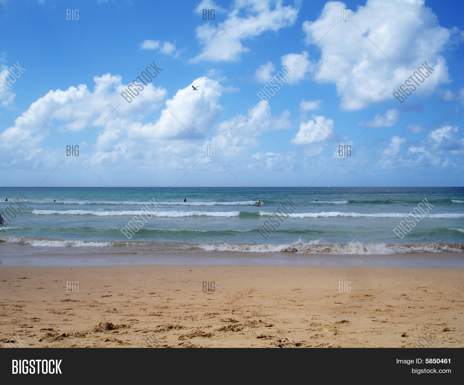 Image Preview