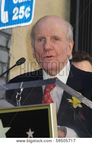 Lord David Rowe-Beddoe at the Richard Burton Posthumous Star On The Hollywood Wallk of Fame ceremony, Hollywood, CA 03-01-13