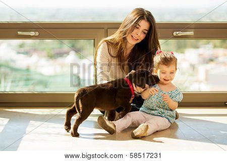 Cute puppy kissing a little girl