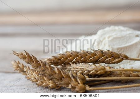 Wheat