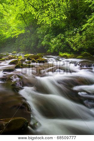 Cascades In The Oconaluftee River, At Great Smoky Mountains National Park, North Carolina.