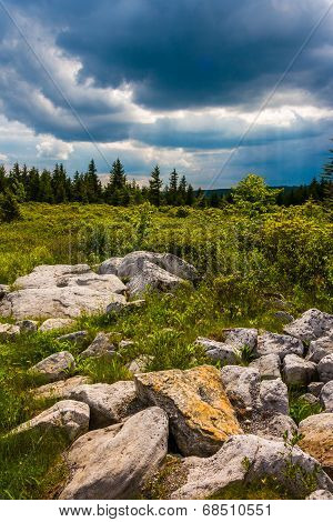 Storm Clouds Over Bear Rocks Preserve, Monongahela National Forest, West Virginia.