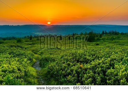 Sunset At Dolly Sods Wilderness, Monongahela National Forest, West Virginia.