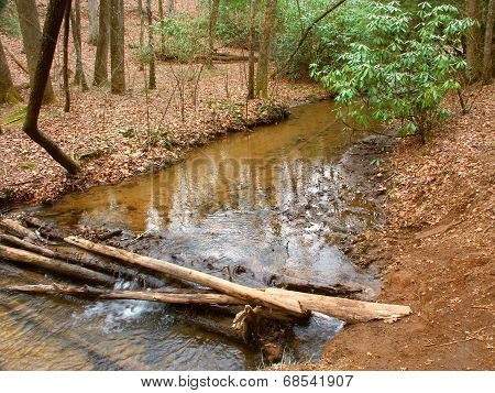 Appalachian Trail In Georgia