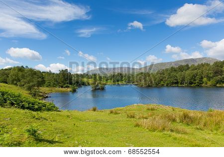 Tarn Hows Lake District National Park Cumbria England uk