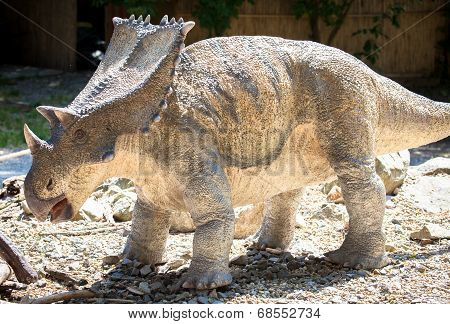 Realistic Model Of Dinosaur - Chasmosaurus