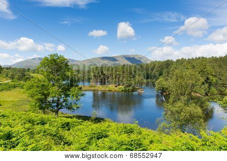 Tarn Hows Lake District National Park Cumbria England uk