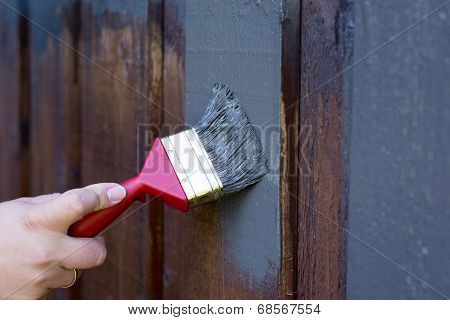 Painting House Facade, Exterior