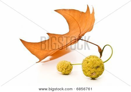 Hoja de plátano con frutas