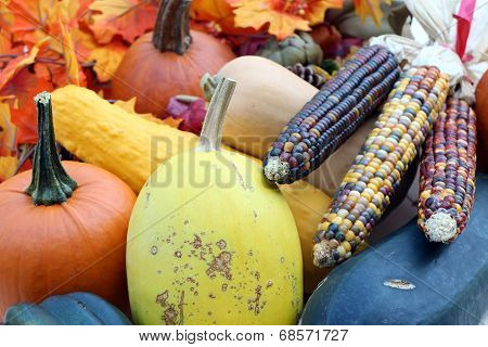 Squash