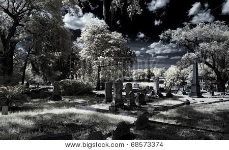 Magnolia Cemetery Infrared