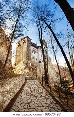Close view of Bran Castle with stoned path