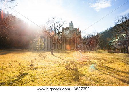 Meadow with sunlight near Bran Castle, Romania
