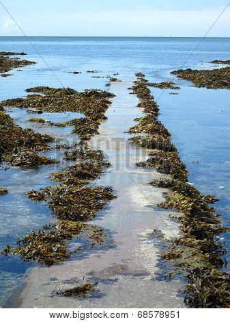 Beach Pathway