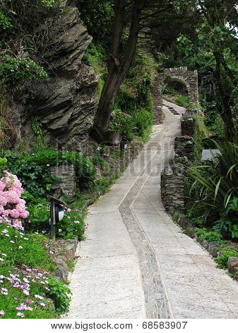 Floral Cliff Pathway