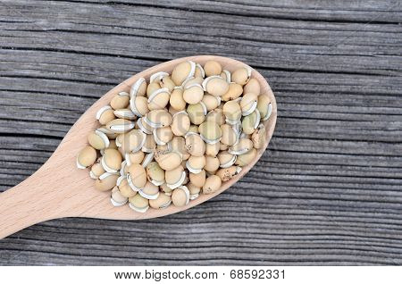 Lablab Beans