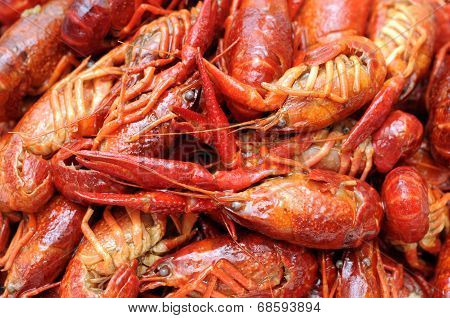 Closeup Boiled Craw Fish