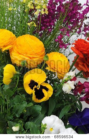 Flowers