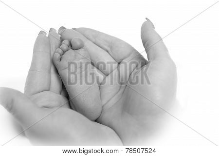 Little Foot