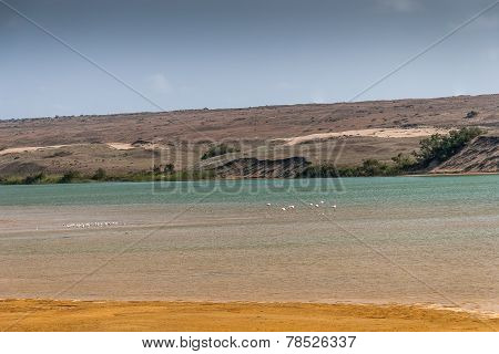 Souss Masa National Park