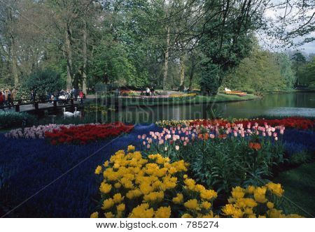 Foråret tid på Keukenhof garden