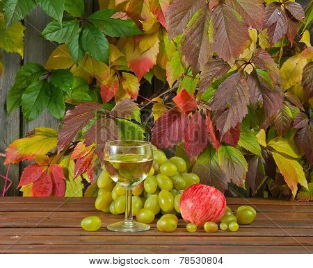 Vine And Grape