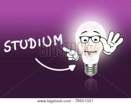 Studium Bulb Lamp Energy Light Pink