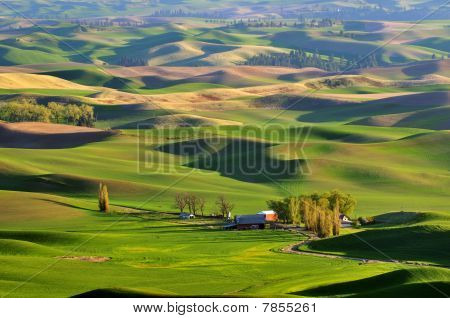Terreni agricoli a Washington Palouse