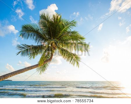 Tropical beach of Chaweng on Koh Samui island in Thailand