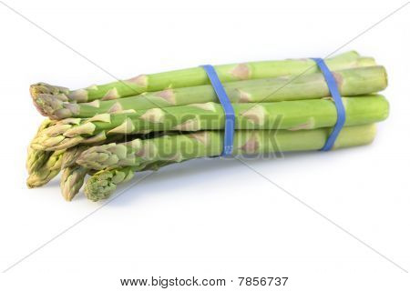 Spargel Bundle auf weiß