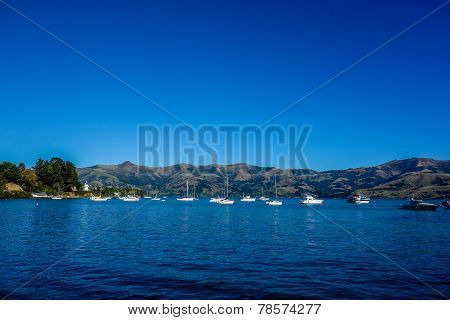 New Zealand 26