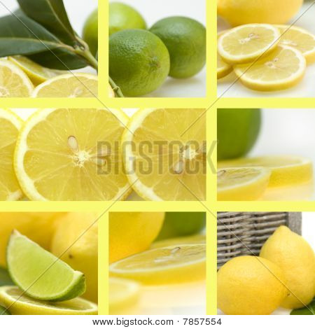 Citroner og limefrugter Collage