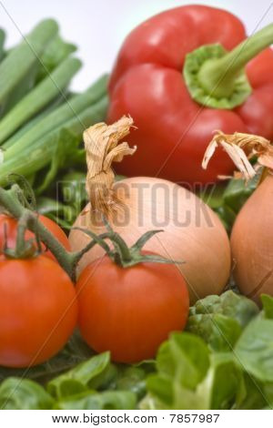 Rote Paprika mit Tomaten und Zwiebeln