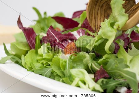 Salat på plade