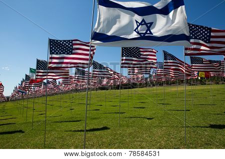American And Other Flags