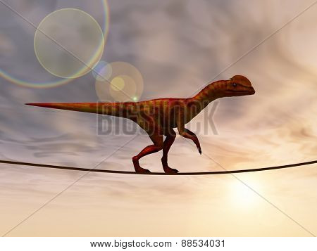 Concept or conceptual abstract business metaphor as wild heavy dinosaurus balancing on rope over sunset sky background