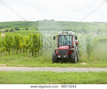 Pest Control With Spraying