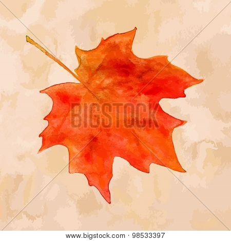 Watercolor Maple Leaf