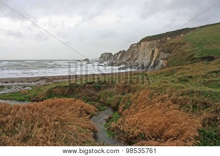 Challaborough Bay, Devon