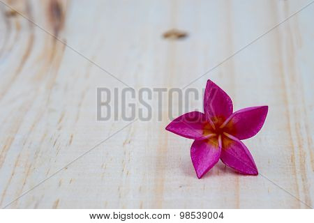 Single pink plumeria on wooden background..