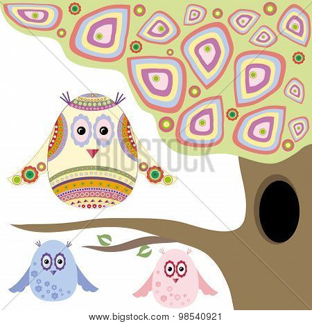 owls
