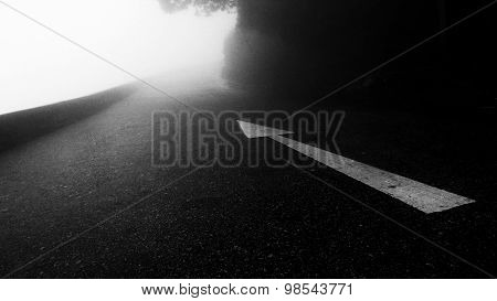 Foggy Night around the Mountain Road