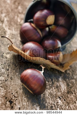Chestnuts